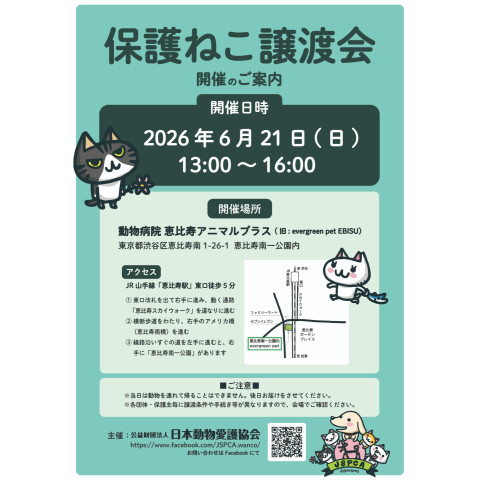 保護ねこ譲渡会＠恵比寿