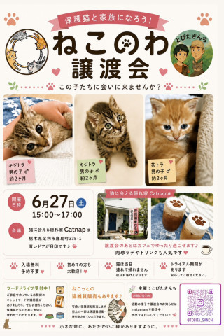ねこのわ譲渡会