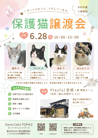 Save Cats TOPAZ 保護猫譲渡会