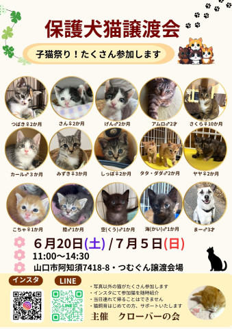 クローバーの会保護犬猫譲渡会