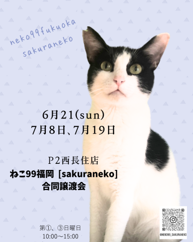 🐾 ねこ99福岡 × [sakuraneko] 合同譲渡会 🐾