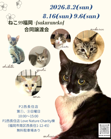 🐾 ねこ99福岡 × [sakuraneko] 合同譲渡会 🐾