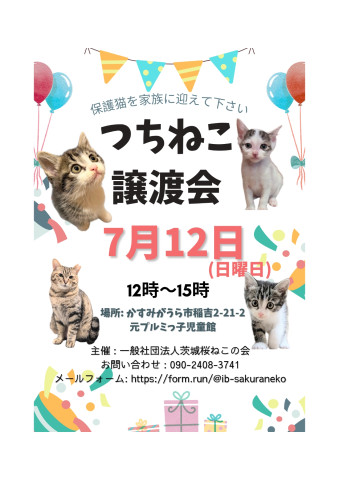 つちねこ譲渡会