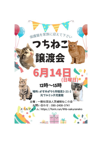 つちねこ譲渡会