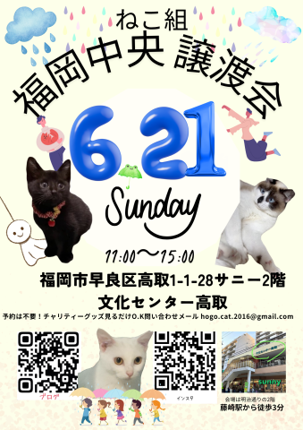 ねこ組　福岡中央譲渡会
