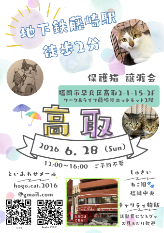 ねこ組🐾福岡中央
