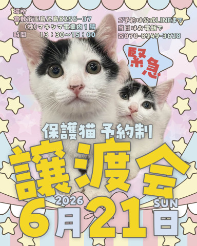 保護猫譲渡会（予約制）