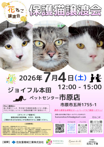 花ねこ譲渡会