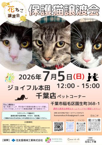 花ねこ譲渡会