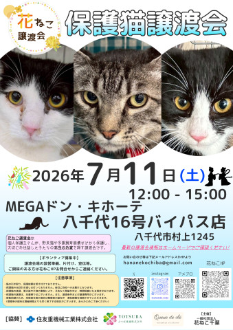 花ねこ譲渡会
