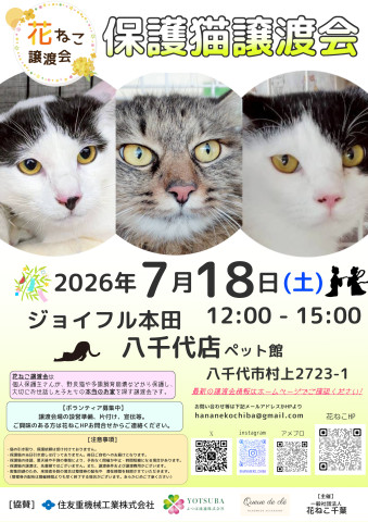 花ねこ譲渡会