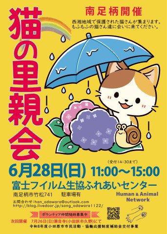 保護猫の里親会＠南足柄