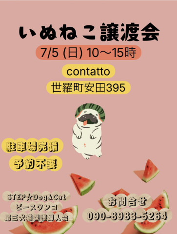 いぬねこ譲渡会