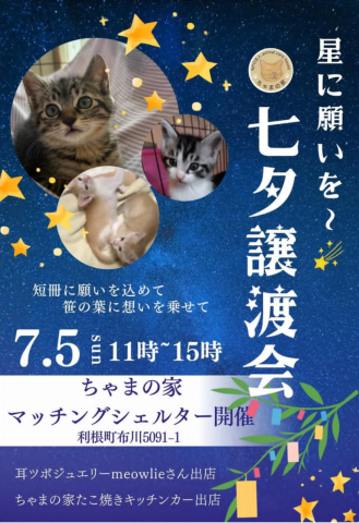 七夕譲渡会