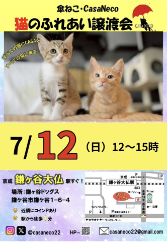 傘ねこふれあい譲渡会（＠鎌ヶ谷）
