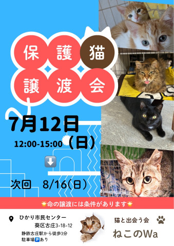 ねこのWa譲渡会　静岡市葵区