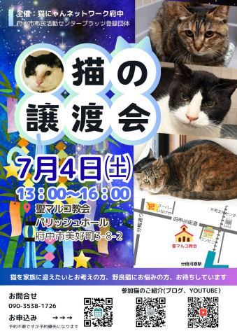 猫にゃんネットワーク府中{保護猫の譲渡会} 