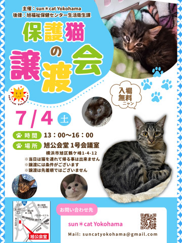 保護猫の譲渡会@sun＊cat Yokohama