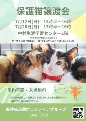 個人ボランティアLove_Cats保護猫譲渡会 7/26