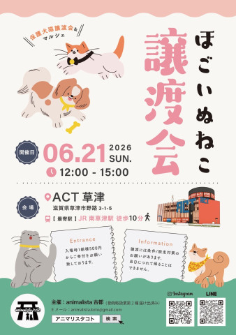 保護いぬねこの譲渡会