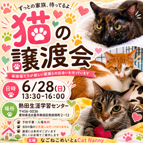 なごねこめいと＆Cat Nanny  譲渡会