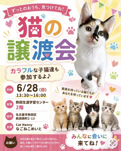 猫の譲渡会in名古屋