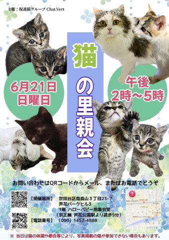 猫の里親会