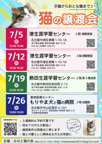 ネコの譲渡会★名古屋市港区
