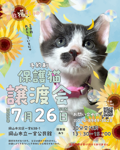 保護猫譲渡会（予約制）