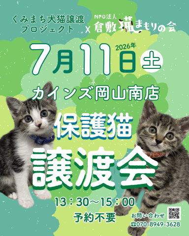 保護猫譲渡会（予約不要）