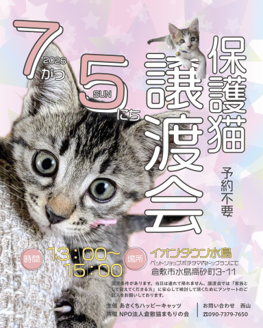 保護猫譲渡会（予約不要）