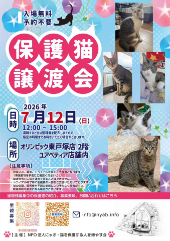 にゃぶ 保護猫譲渡会（オリンピック東戸塚）