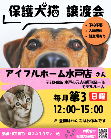 譲渡会 at アイフルホーム水戸店