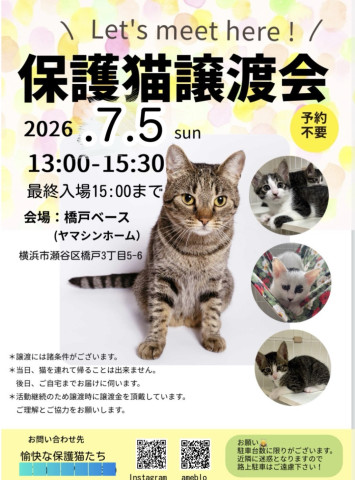 保護猫譲渡会inよこはま