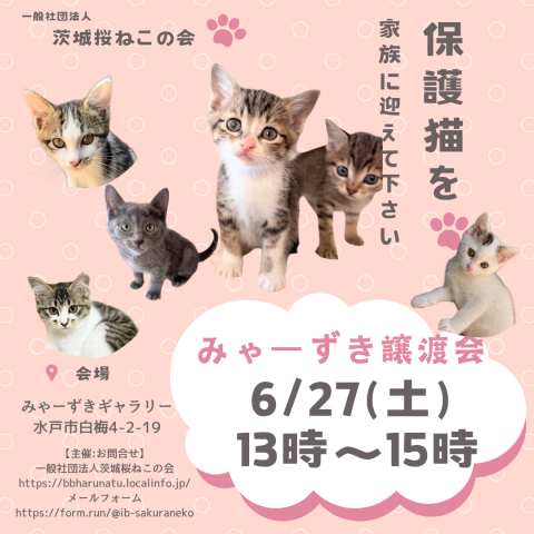 みゃーずき譲渡会