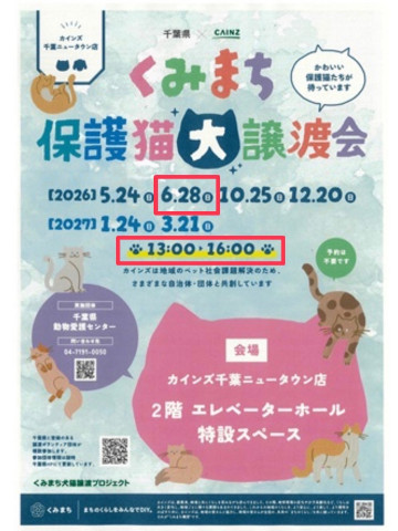 くみまち保護猫大譲渡会【カインズ千葉ニュータウン店(印西市)】