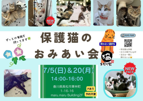 まだら家🍀保護猫のお見合い会