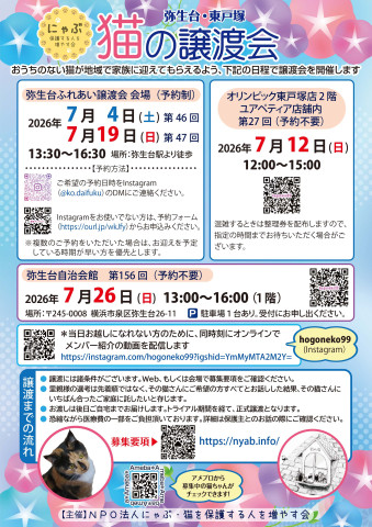 弥生台・東戸塚　猫の譲渡会