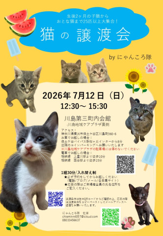 猫の譲渡会　by にゃんころ隊 7/12