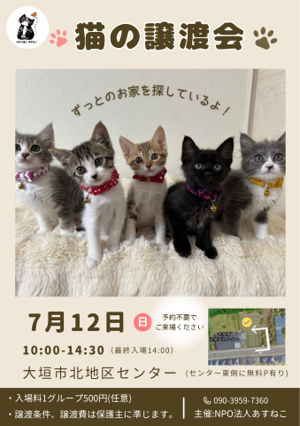 猫の譲渡会を開催します