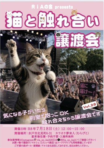 猫と触れ合い譲渡会