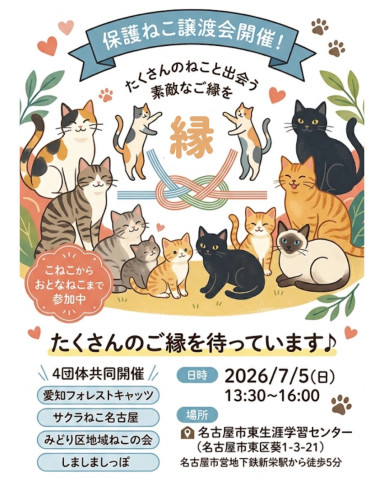 大規模！4団体合同　保護猫譲渡会　名古屋市
