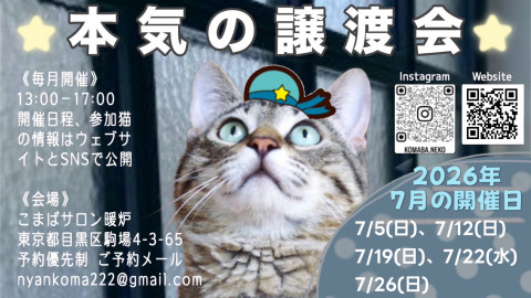 本気の譲渡会