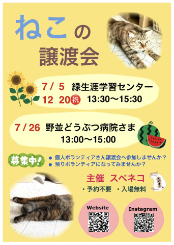 7/26 保護猫譲渡会 名古屋市天白区