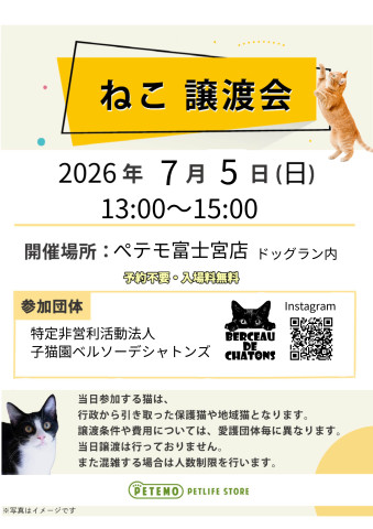 ねこ譲渡会