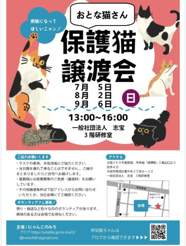 【大阪市東成区】保護猫の譲渡会