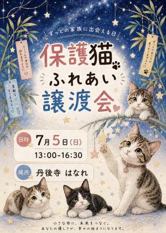 お寺で保護猫ふれあい譲渡会