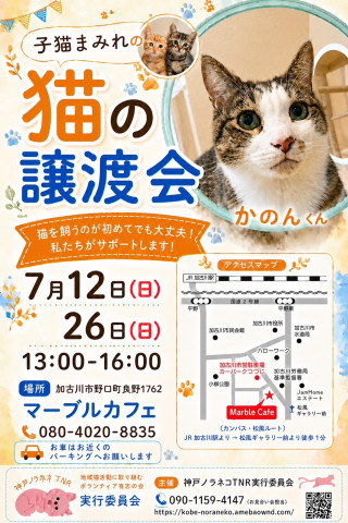 マーブル譲渡会