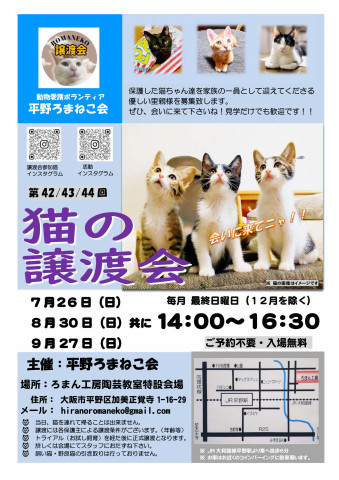 第42回 平野ろまねこ譲渡会