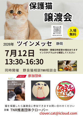 保護猫譲渡会